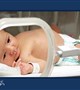 تولد بیش از ۷۲ هزار نوزاد در ۳۲ روز جنگ/روایت تداوم زندگی در روزهای پرفشار نظام سلامت